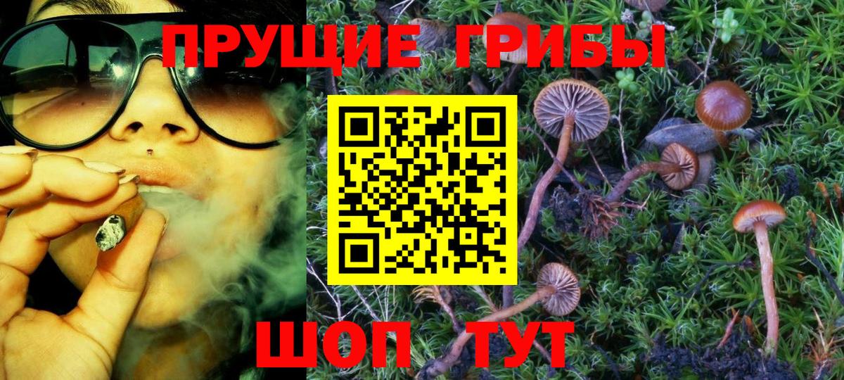 Жигулёвск  Псилоцибиновые грибы Magic Shrooms  Вход с VPN 