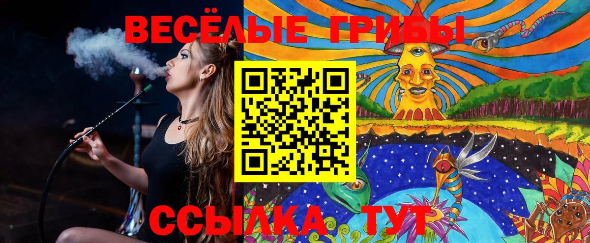 закладки  Жигулёвск  Галлюциногенные грибы мицелий 